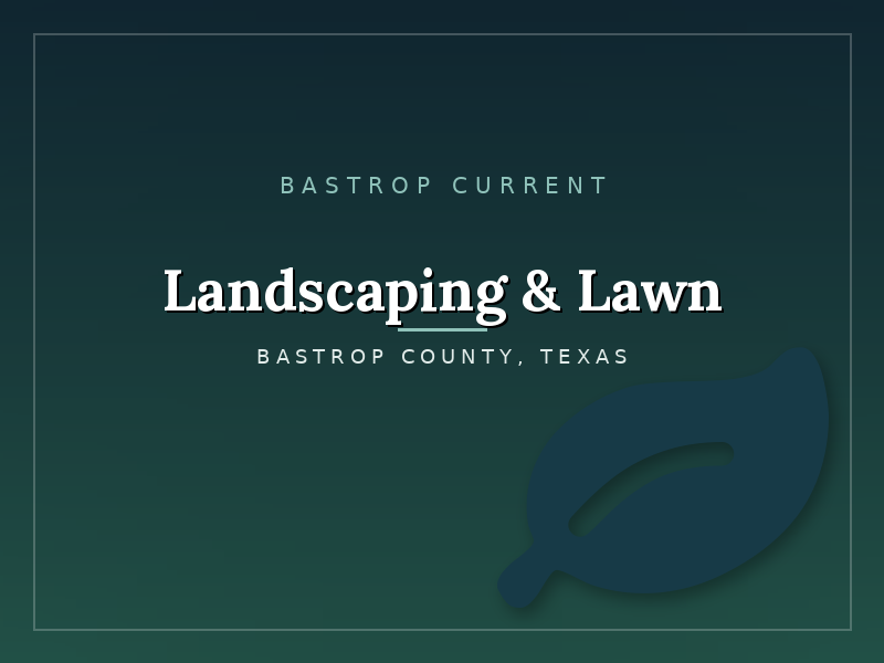 cat-landscaping-lawn