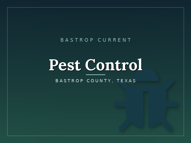 cat-pest-control