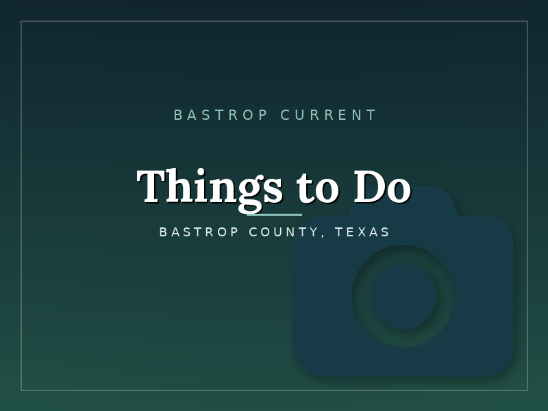 cat-things-to-do