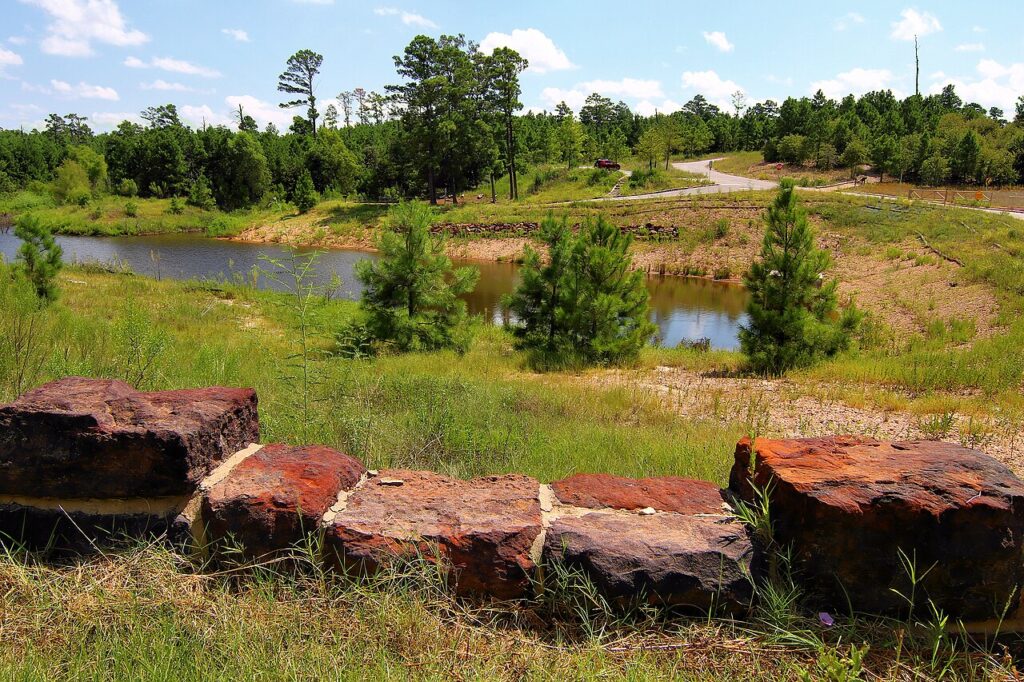 Pines and lake at Bastrop State Park in the Lost Pines of Texas